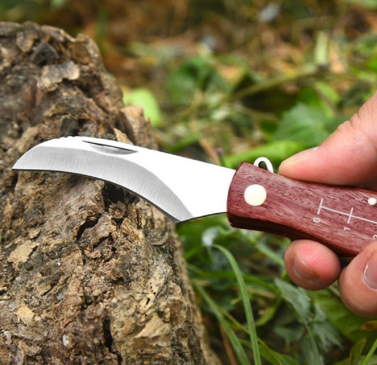 Kvalitný vreckový nôž na huby s kefkou